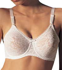 Lace and Smooth Bra